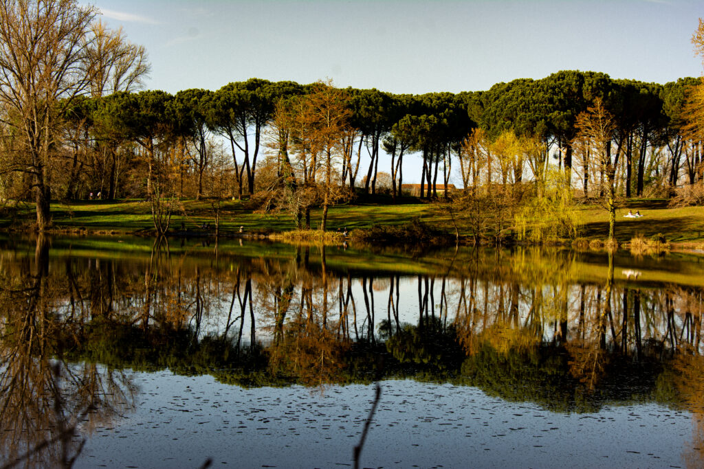 A propos de mon approche photographique unique 
